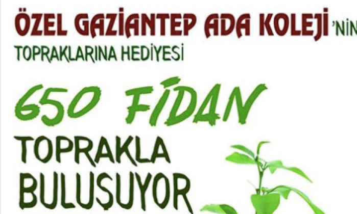 Adalı öğrencilerden doğaya 650 adet fidan