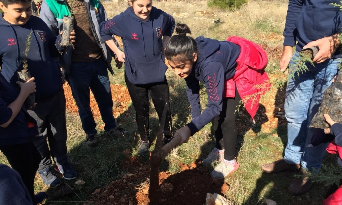 Adalılar ağaç dikti