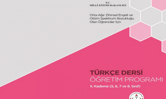 Özel çocuklar için işlevsel Türkçe müfredatı