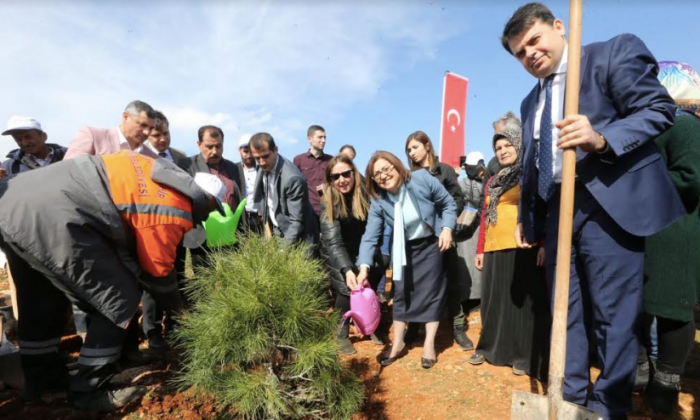 Büyükşehir ve Gaziantep İl MEM'ten Hatıra Ormanı