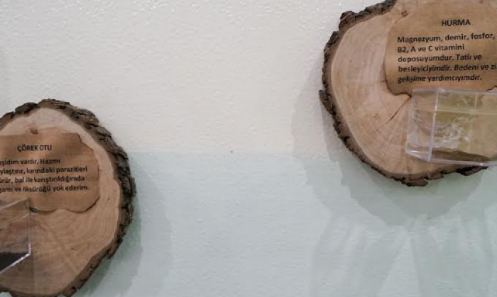 Erdem Kolejinde tohumlar bu kütüphanede toplanıyor