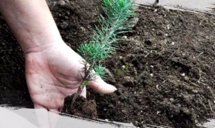 SANKO’dan Hatay bağışı