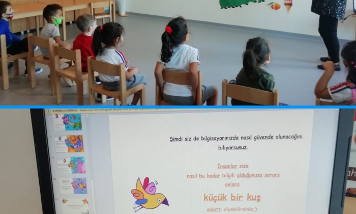 Minik kuşlar ve internet