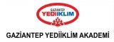 Yediiklim Akademi