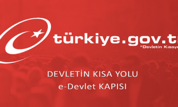 e-devlet'te eğitimle ilgili işlemler