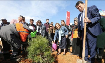 Büyükşehir ve Gaziantep İl MEM'ten Hatıra Ormanı