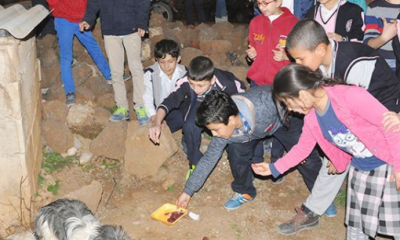 Öğrenciler kumbarada biriktirdikleri parayla yiyecek alıp sokak hayvanlarını besledi