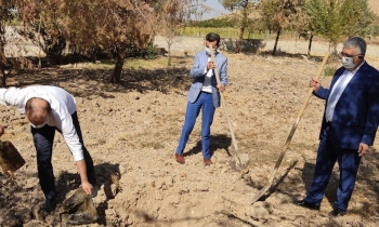 Nizip’te fidan dikimi
