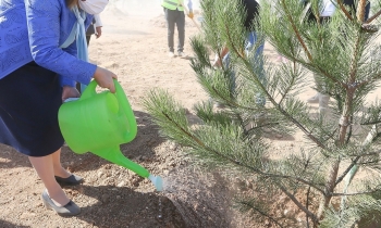 Okullarda ağaçlandırma