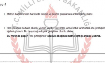 TEOG için hazırlanan açık uçlu Türkçe örneği